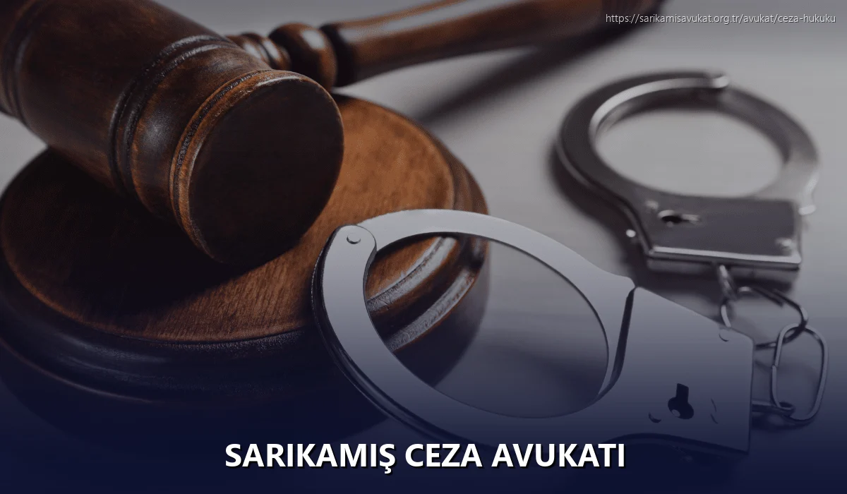 Sarikamiş Ceza Avukatı