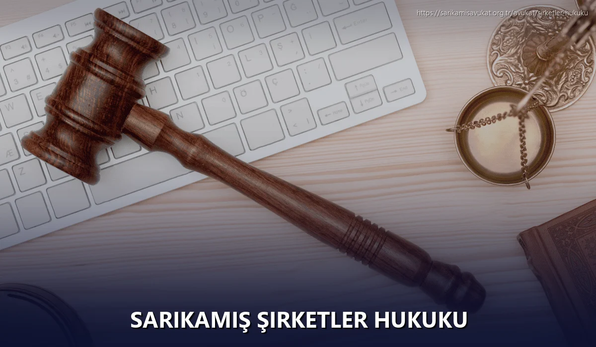 Sarikamiş Şirketler Hukuku